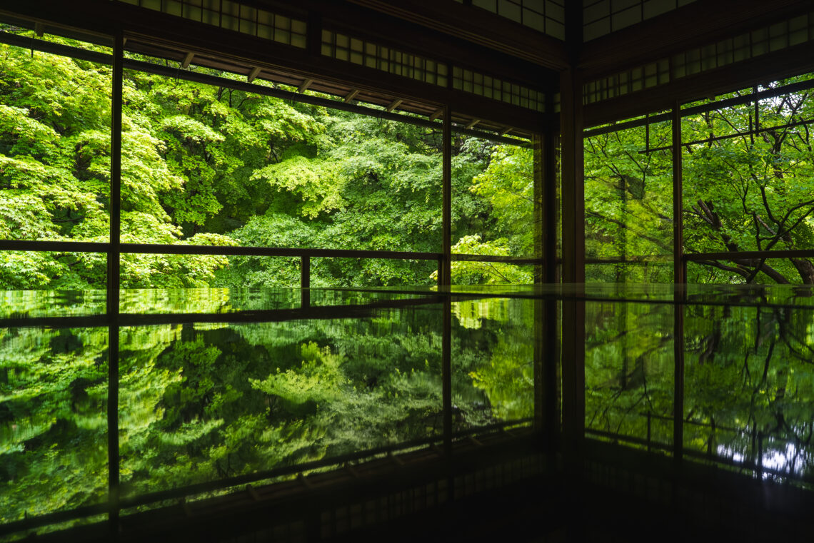 【京都旅行記】春の風に誘われて——4日間の食と癒し旅