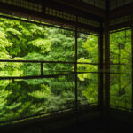 【京都旅行記】春の風に誘われて——4日間の食と癒し旅